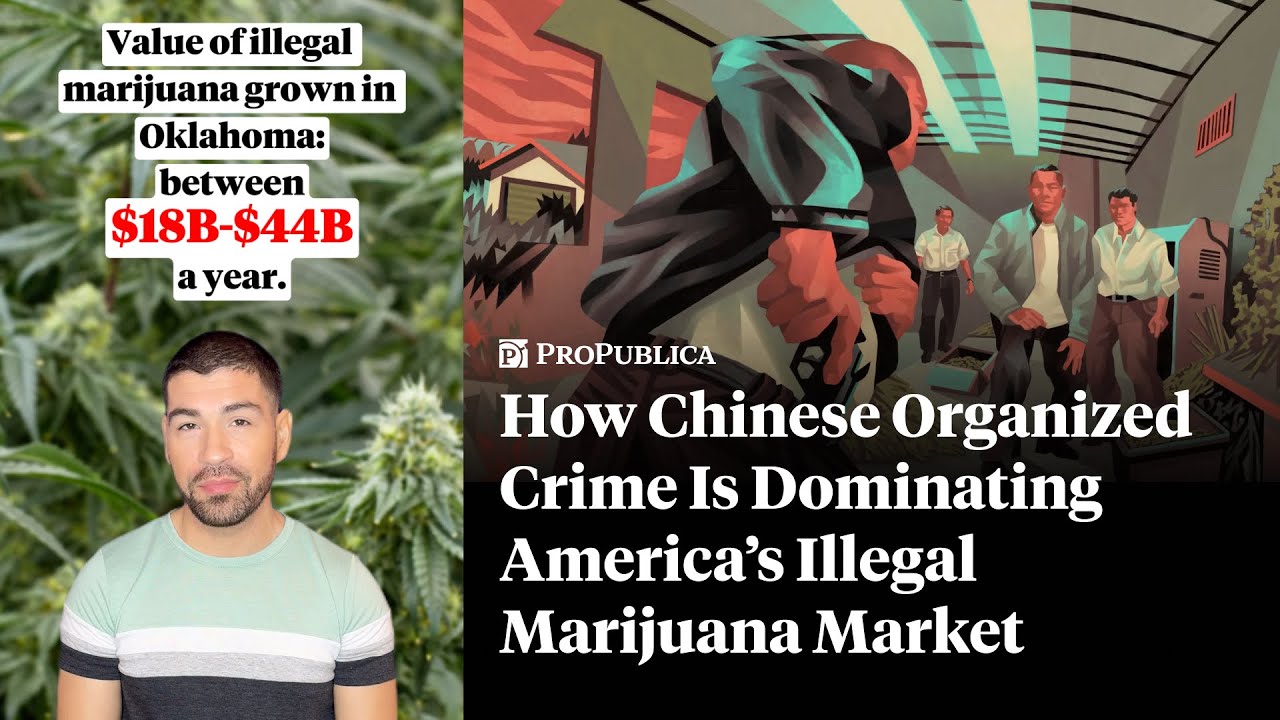 How Chinese Organized Crime Is Dominating America’s Illegal Marijuana Market