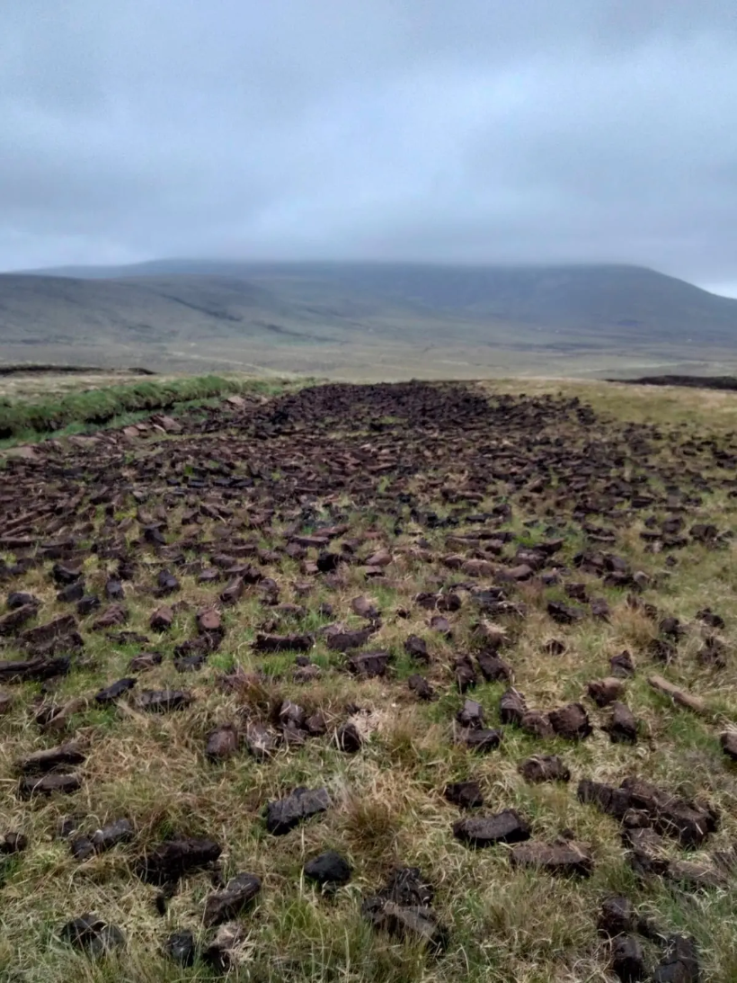 Ireland’s carbon store. Harvested peat in a field