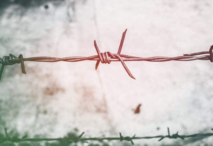 Closeup of barbed wire
