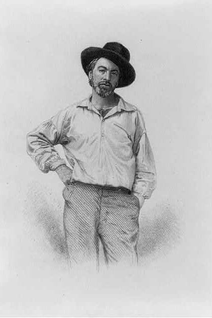 A steel engraving of Walt Whitman