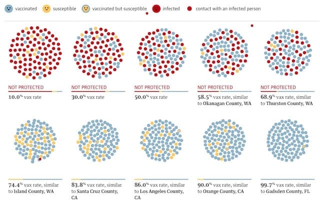 Graphic showing protection from Measles based on society vaccination rate