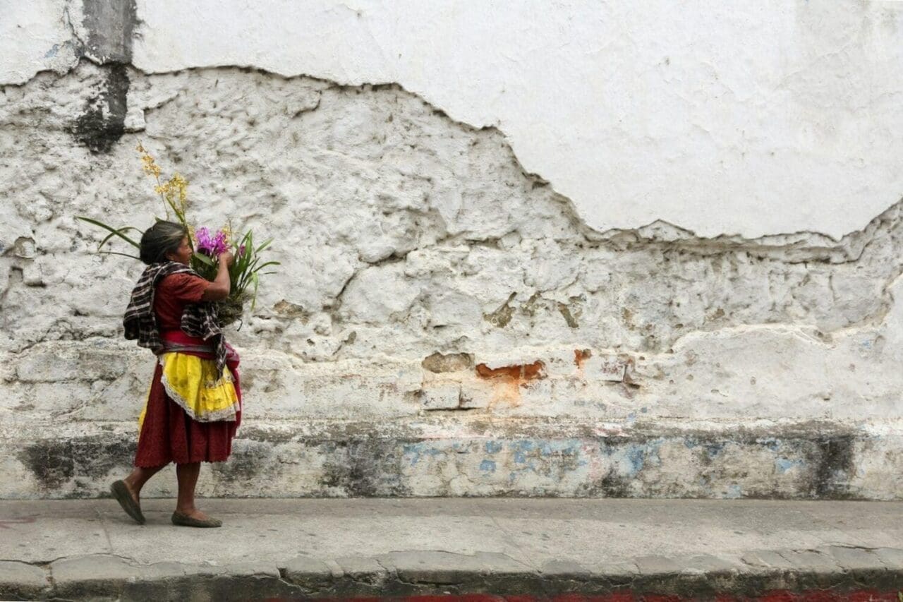 A girl carrying a pot of flowers