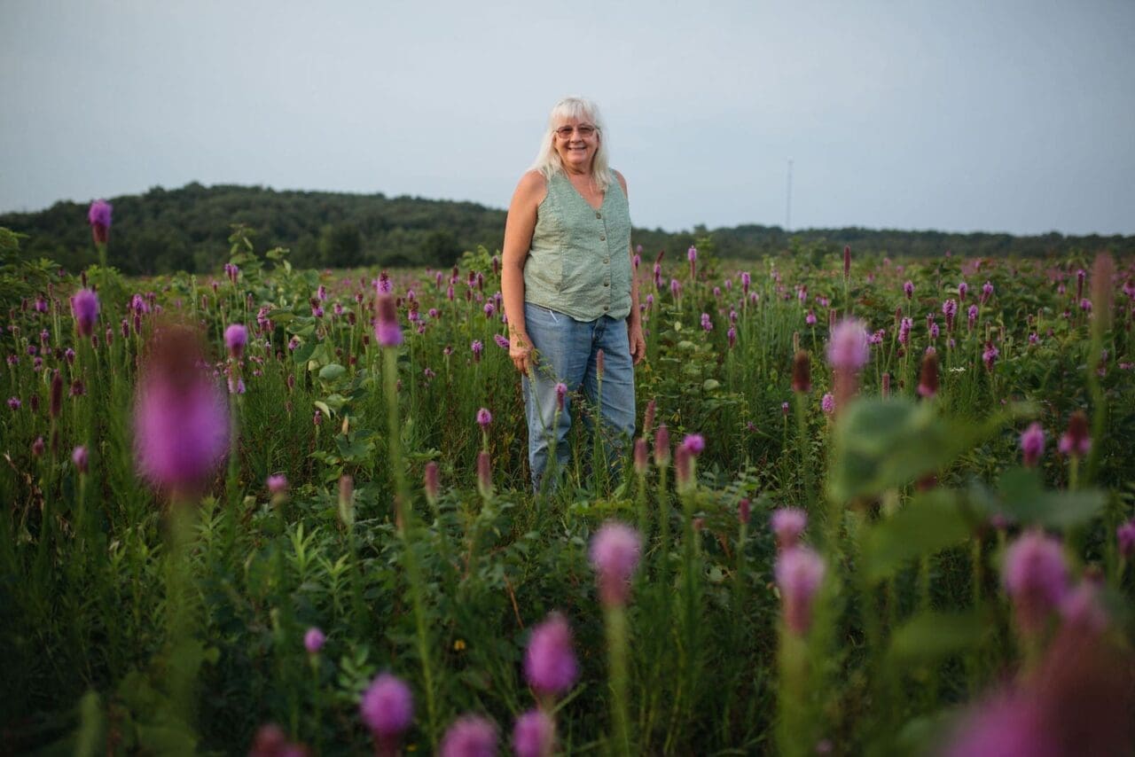 Toxic grass: A woman with gray hair standing in a field of green grass and purple wildflowers