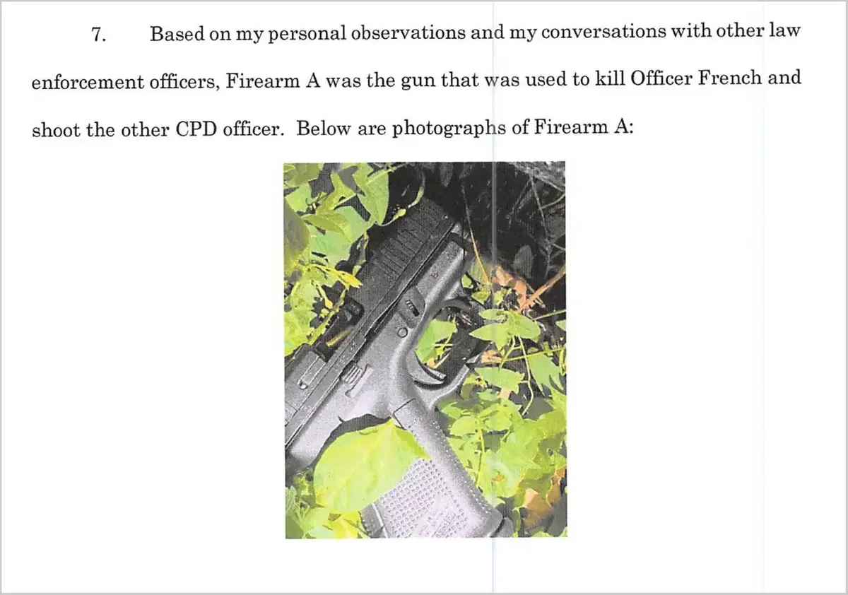 Gun stores: photo of the gun in the grass that was used to kill Officer French