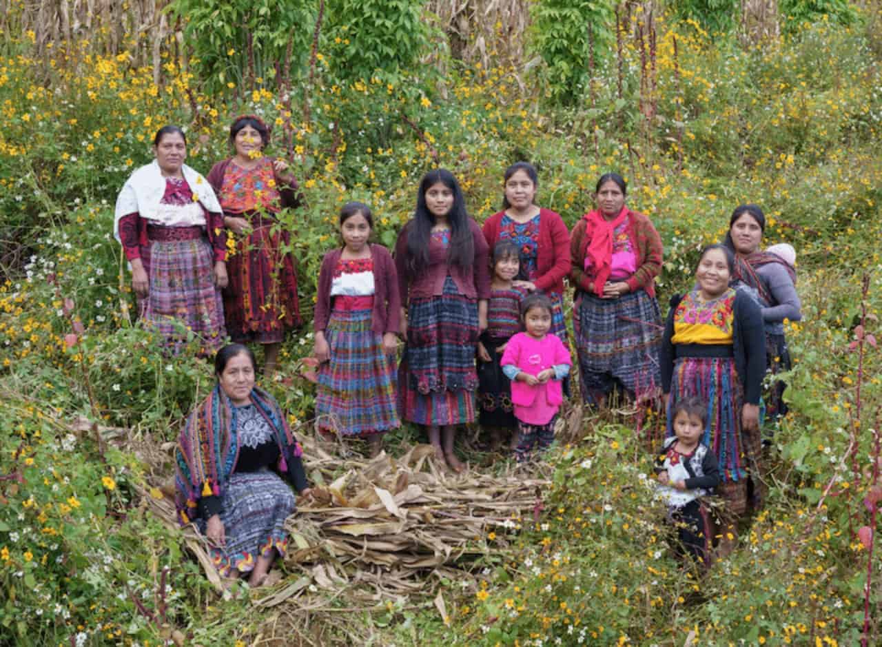 Mental health: women gather flowers to use during their sharing circle, in the mountains of san juan ostuncalco, guatemala.