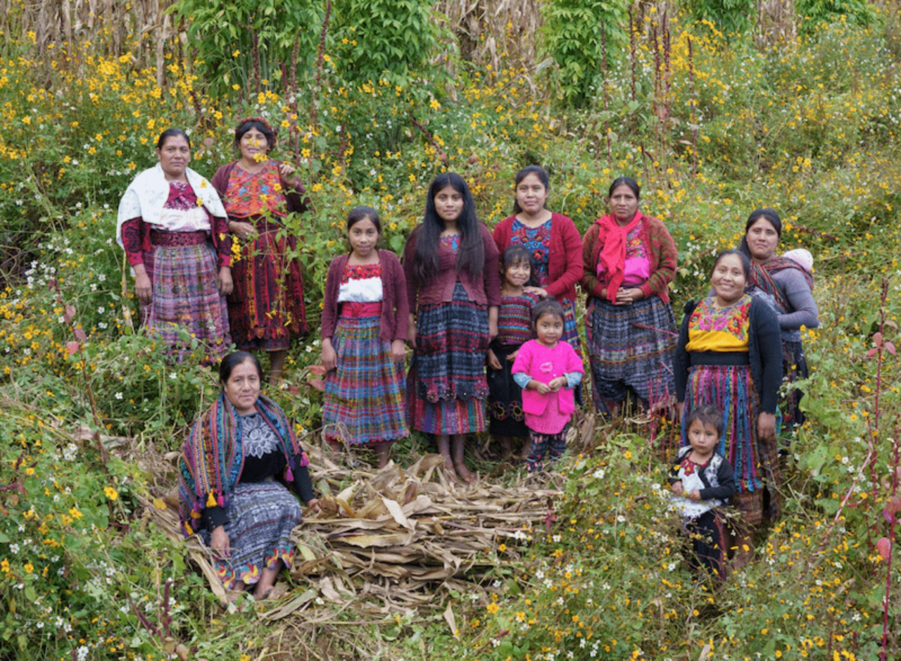 Mental health: Women gather flowers to use during their sharing circle, in the mountains of San Juan Ostuncalco, Guatemala.