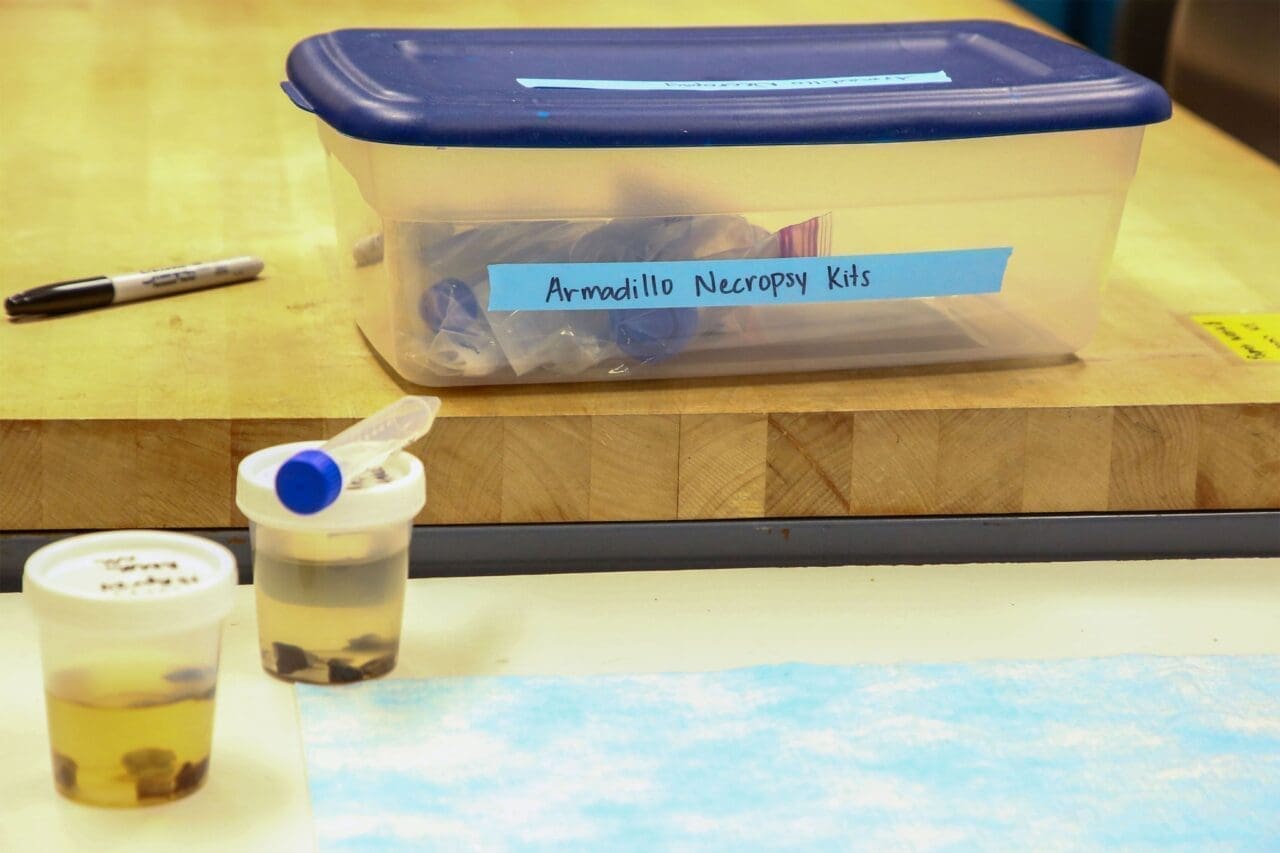 Necropsy kits sit on a table in veterinarian Campos Krauer’s lab at the University of Florida in Gainesville.