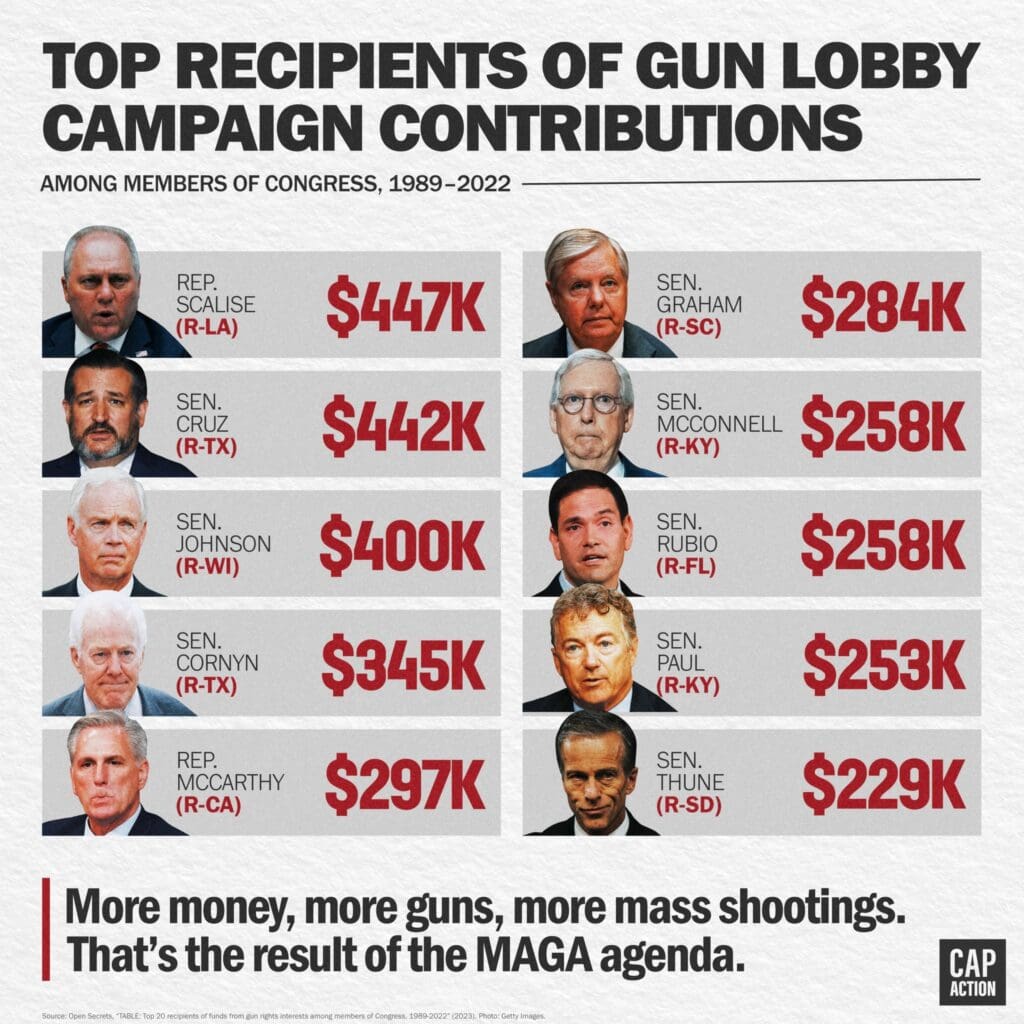 Corporations and the rich: Graphic showing members of Congress and the money they've received from the gun lobby.