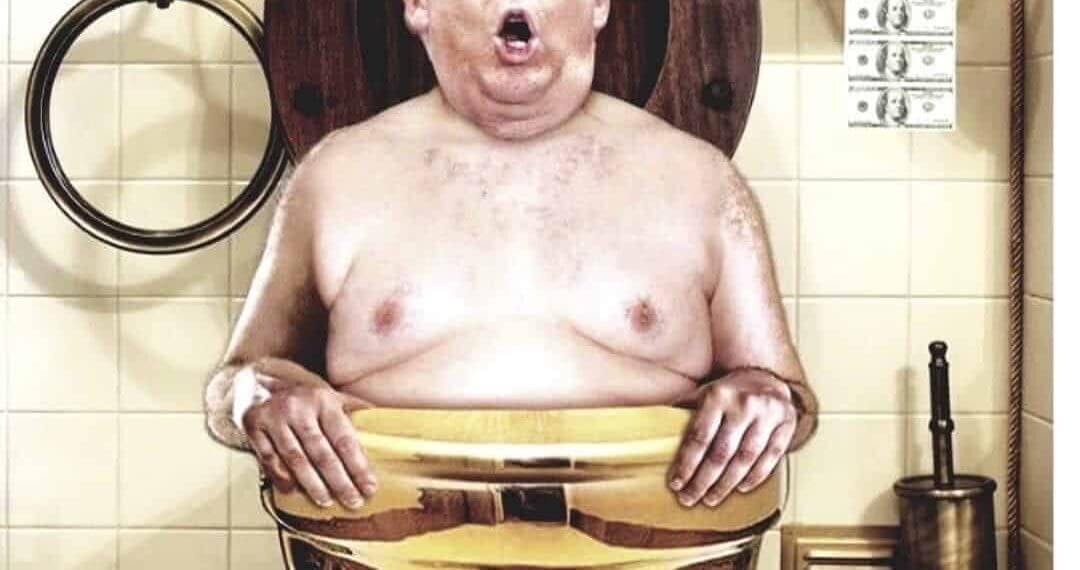 Donald trump cartoon of him in a toilet with text that says “flush the turd in november”