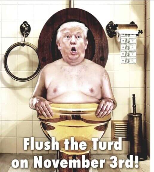 Donald trump cartoon of him in a toilet with text that says “flush the turd in november”