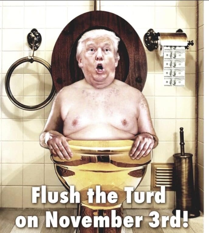 Donald Trump cartoon of him in a toilet with text that says “Flush the turd in November”