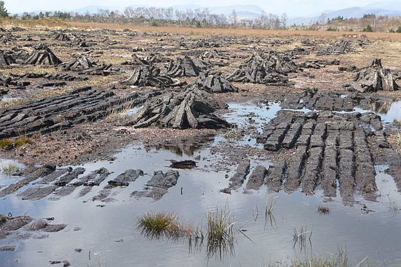 Ireland peat bog