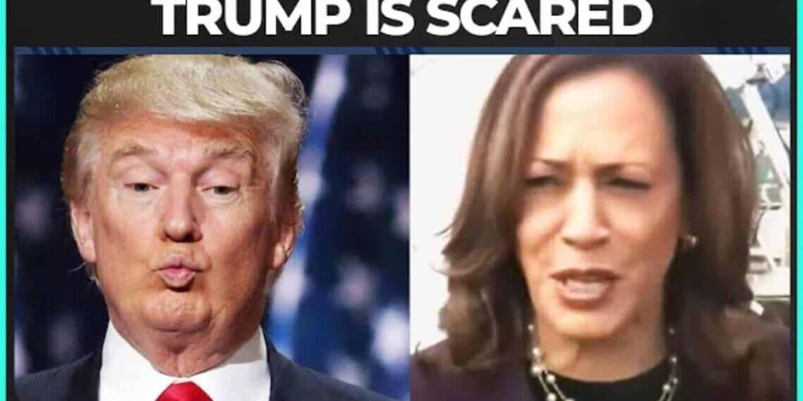 Trump and kamala harris