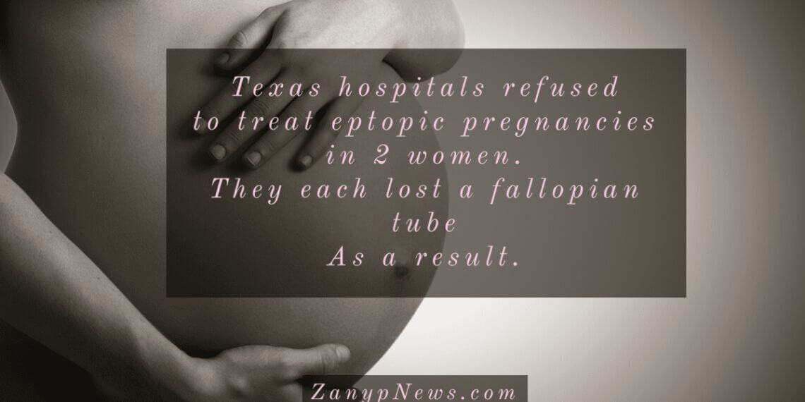 Pregnant woman’s belly in sepia