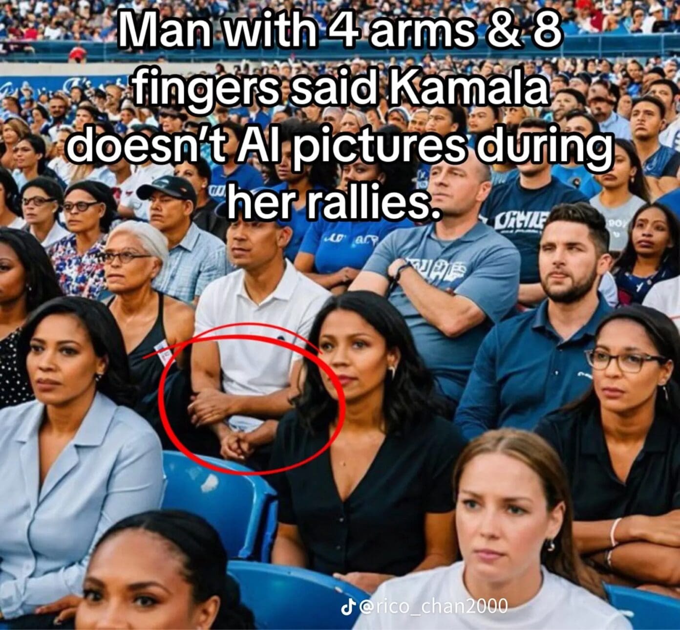 AI-generated image of Harris campaign rally crowd.