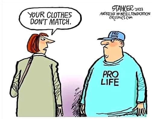 Political cartoon about pro life and pro guns not matching