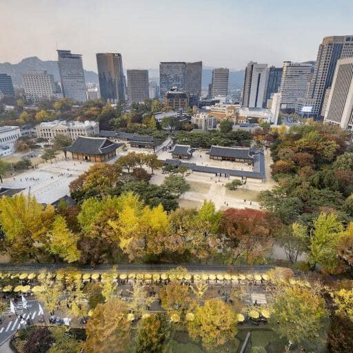 Beautiful city surrounded by trees in fall colors