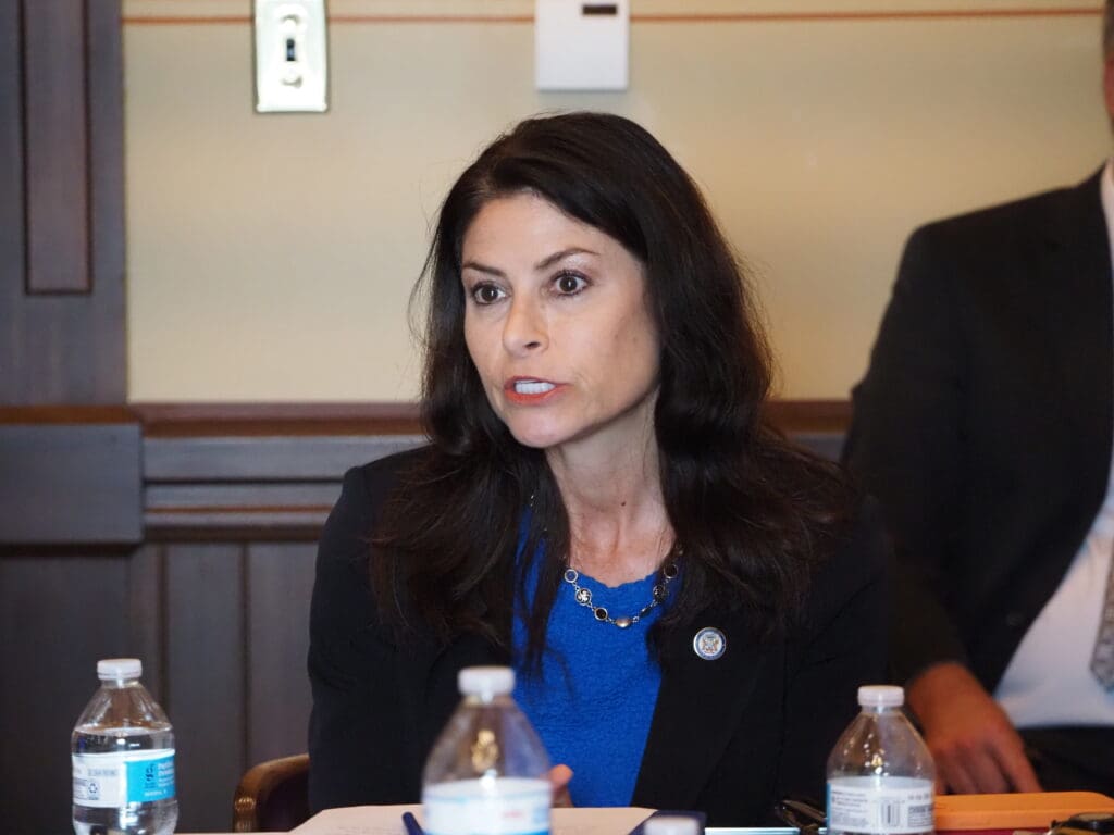 Michigan Attorney General Dana Nessel speaks at a news conference in support of anti-price-gouging legislation on September 10, 2024 in the Michigan Capitol Building. 