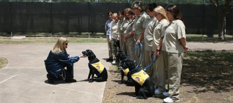 A group of people standing next to a woman with a dog