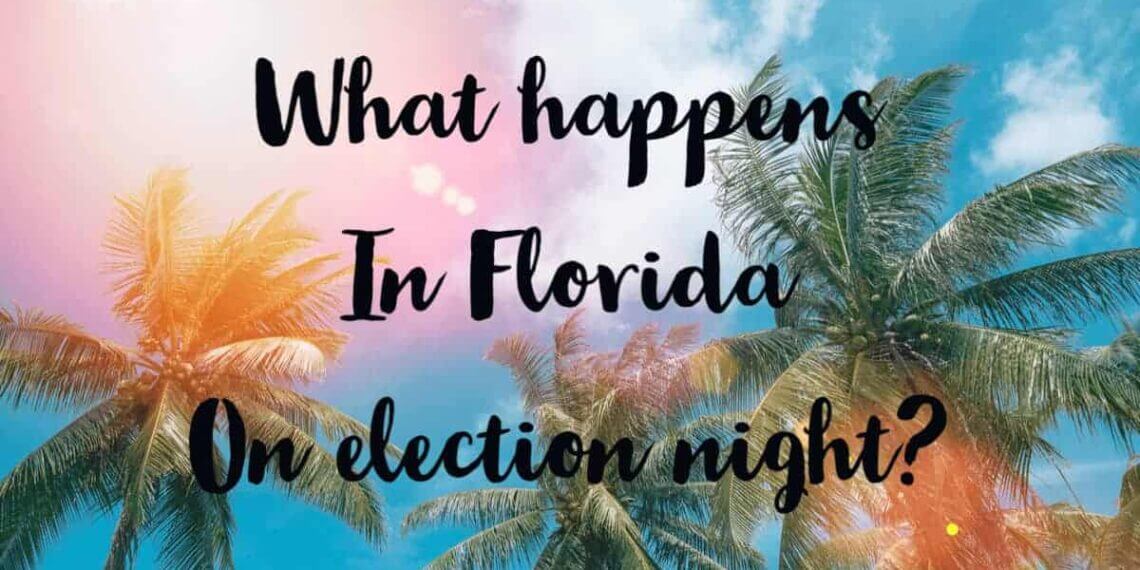 Florida graphic with photo looking up at palm trees with the sun shining