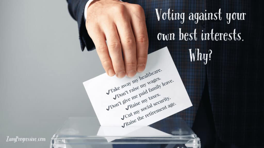 Voter voting against their own best interests