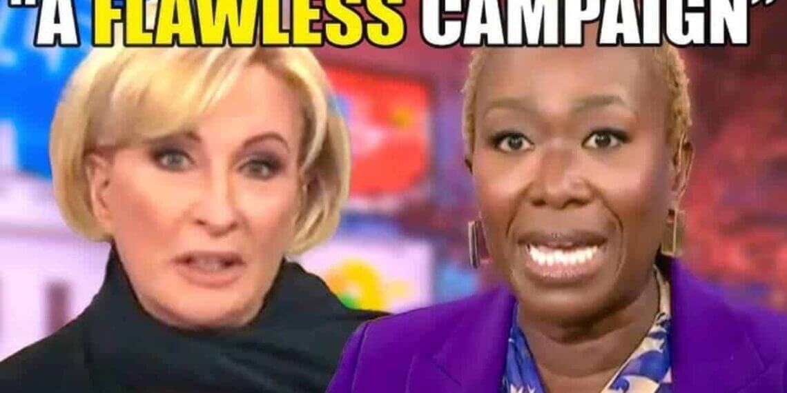 Mika and joy from msnbc