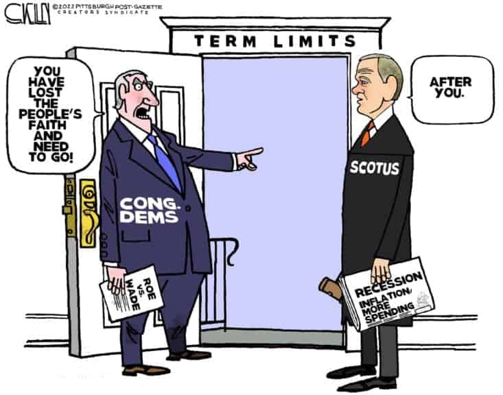 Term limits political cartoon