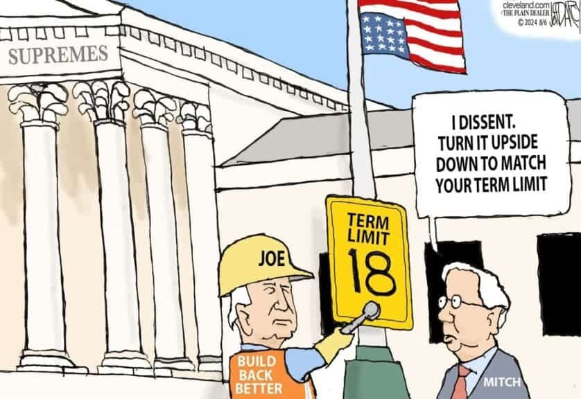 Term limits political cartoon