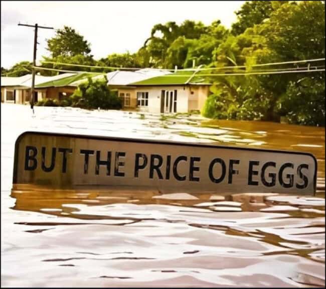 What republicans are going to do
a sign in flood waters submerged with only the very top showing and it says, “but the price of eggs. ”