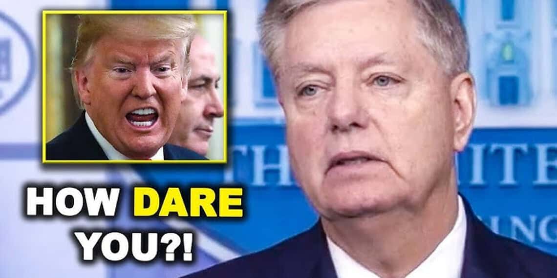 Senator lindsey graham and donald trump