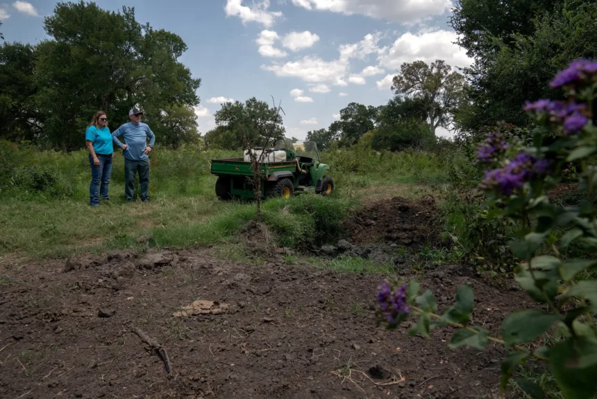 Farmer couple standing by spot where they buried a bull calf that had died