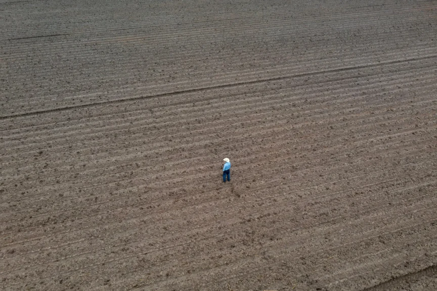 Farmer in his dry field