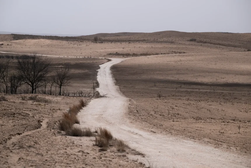 Charred ground in texas