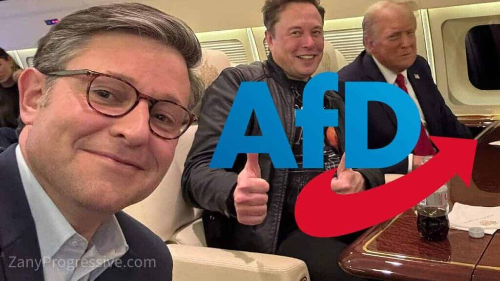 Friedrich merz speaker mike johnson, elon musk, and donald trump