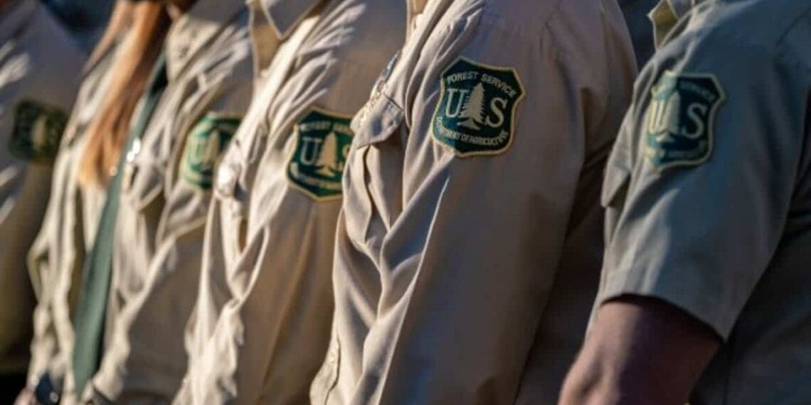 Us forest service officers