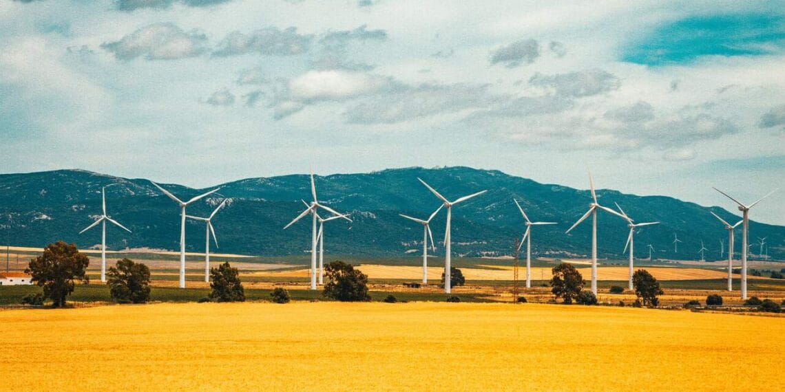 Golden fields with rows of wind turbines behind them