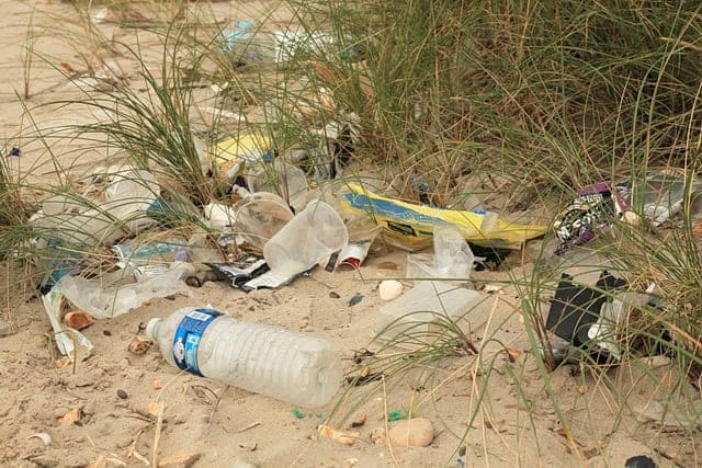 Attack on paper straws is mostly symbolic but plastic littering our beaches is a real problem