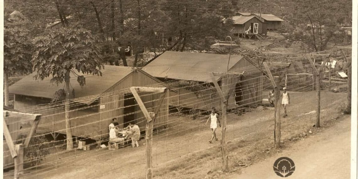 Japanese internment camp after alien enemies act of 1798