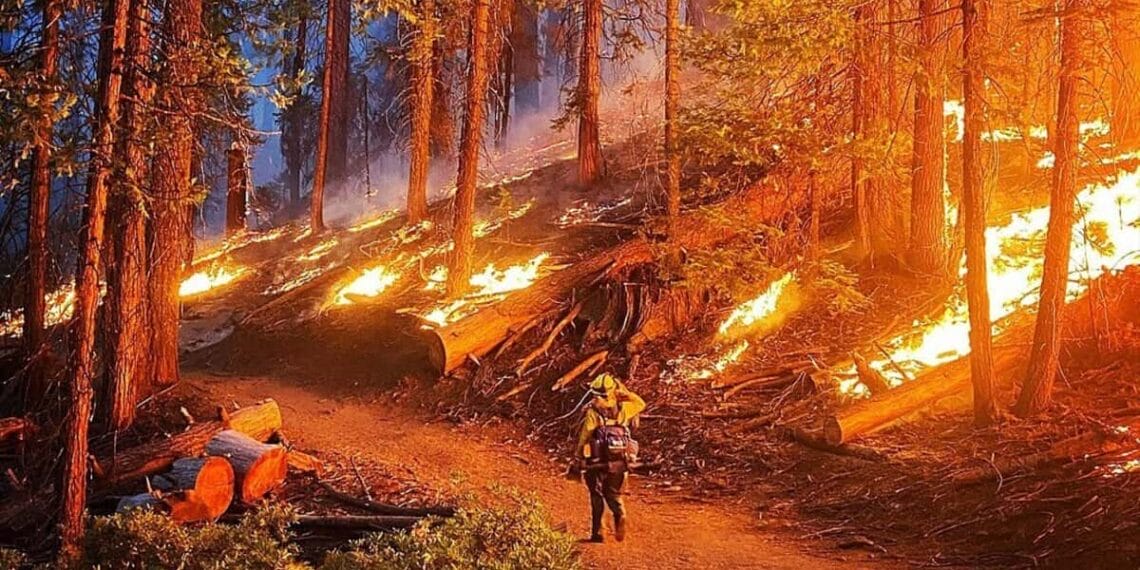 Firefighter sarah platt patrols hand line during initial attack of the washburn fire.