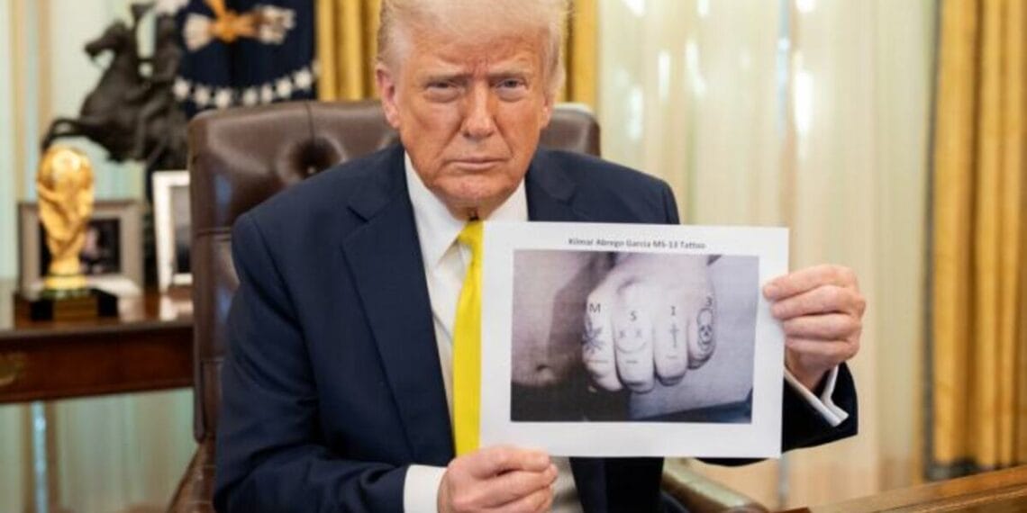 Photo trump shared on truth social of kilmar abrego garcia’s tattoos